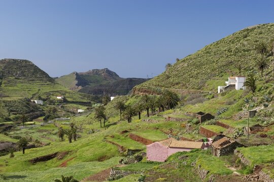 Canary Islands - La Gomera Arure