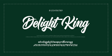 Hand drawn vector alphabet. Modern monoline signature script font. Elegant Signature Font. Best Alphabet Beautiful Calligraphy Signature Font