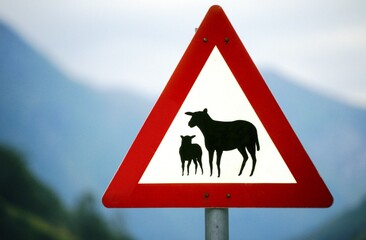 Traffic sign, indication of sheep