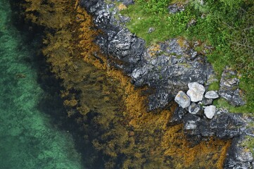 Waterside of the tidal current Saltstraumen, Norway, Scandinavia, Europe