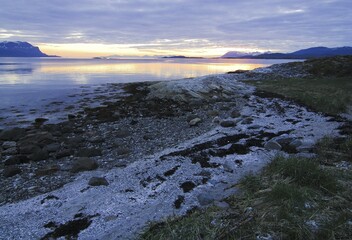 Fjord shore, Austvagoy, Lofoten, Norway, Scandinavia, Europe