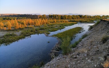 Beaver dam damming up a river in Grand Teton National Park, Wyoming, USA, North America