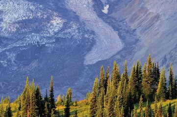 Melting glacier tongue, glacial recession, climate change, Mt Rainier National Park, Washington, USA, North America