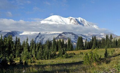 Obraz premium Glaciated peak of Mount Rainier, Mt. Rainier National Park, Washington, USA, North America
