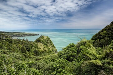Obraz premium Views over dense vegetation towards the green sea on the West Coast, Irimahuwhero Lookout, Paparoa National Park, South Island, New Zealand, Oceania