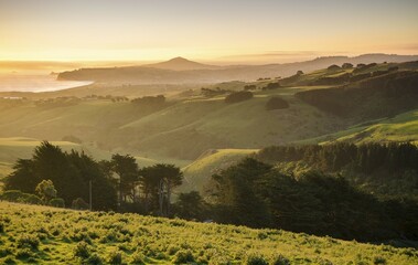 Sunset over grassland, on a country road, Dunedin Beach at the back, Otago Peninsula, South Island,...