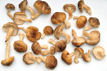 Shiitake mushrooms