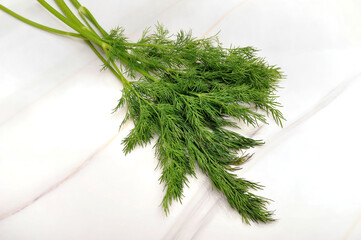 Fresh Healthy Dill