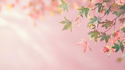 Fototapeta premium Pink and green leaves with light bokeh background.