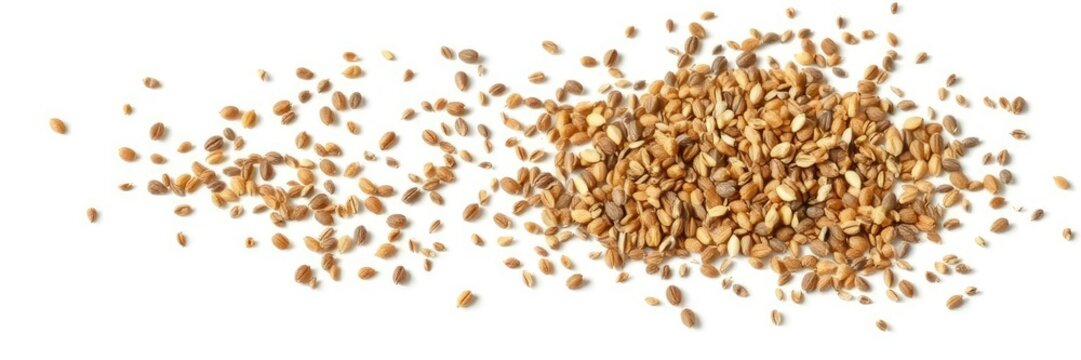 Scattered cumin seeds spread out on a bright white background, small, seed, background
