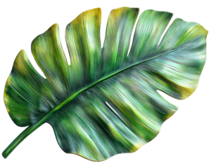 A vibrant, detailed illustration of a large green tropical leaf.