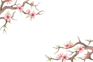 Watercolor illustration of spring tree flowers. Rectangular frame decorated with branches of blossoming sakura. Almond blossom for design of cards, postcards and invitations