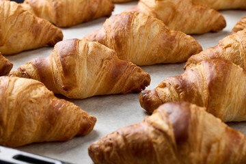 freshly baked croissants