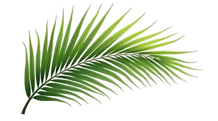 Obraz premium Green palm tree leaf on a transparent background (PNG file)