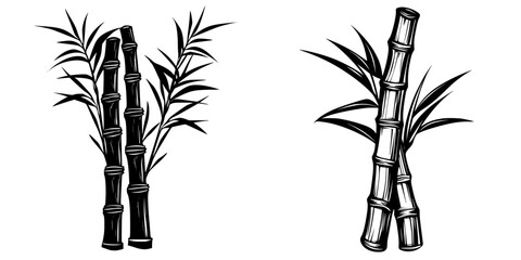 Elegant black and white bamboo illustrations displaying natural beauty and intricate design