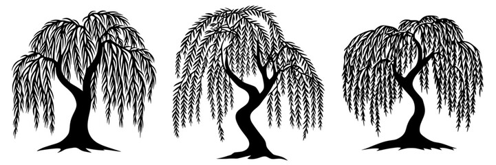 Illustrations of three unique weeping willow tree designs in black silhouette style for artistic inspiration and botanical representation