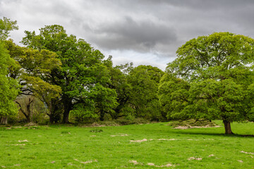 Views during a walk in Killarney National Park County Kerry, Ireland 