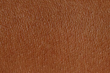 Tanned human skin