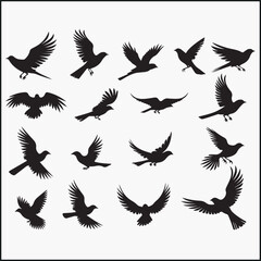Obraz premium Flying Birds silhouette isolated on white