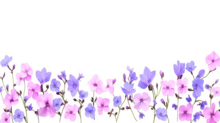 Pink and Purple Flowers Floral Border isolated on transparent background