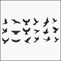Naklejka premium Set of silhouettes of flying birds 