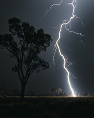 A dark, stormy night in the Australian desert, lightning striking and illuminating a tree with dramatic lighting. In the background is a small patch of bush at ground level, hinting at desolation 