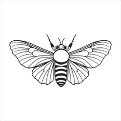 Moth vs. Butterfly: Key Differences Explained