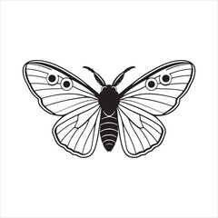 Why Are Moths Attracted to Light? The Science Behind It