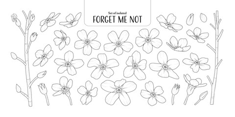 Set of isolated Forget Me Not, Scorpion grasses. Cute flower illustration in hand drawn style. Black outline and white plain on a transparent background.