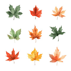Fototapeta premium Colorful watercolor leaves representing seasonal changes in nature., isolated on a transparent background.
