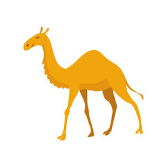 Money evolution icon. Step in history and development finance system. Stage of payment method element. Concept currency transformation vector illustration