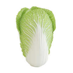 Fresh and vibrant napa cabbage, perfect for healthy meals and recipes.