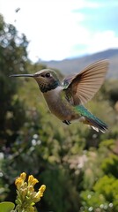Fototapeta premium A delicate hummingbird flutters its wings rapidly, poised near a colorful flower in a lush garden. Sunlight streams through the leaves, creating a magical ambiance in nature