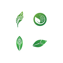 vector technologies ltd​.green technology vector logo.transparent background toronto maple leafs logo vector.