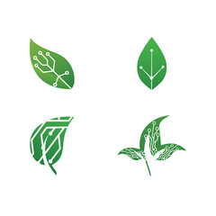 vector technologies ltd​.green technology vector logo.transparent background toronto maple leafs logo vector.