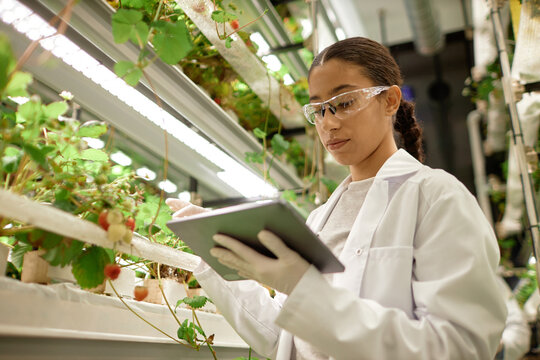 Scientist in lab coat observing plant growth in hydroponic system with clipboard. Researcher working in controlled environment to monitor agricultural experiment - Powered by Adobe