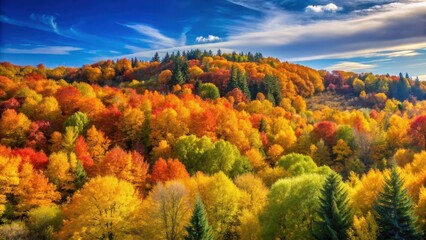 Fototapeta premium Serene autumn forest landscape with dense foliage and vibrant leaf colors against a clear blue sky on a sunny day, tree leaves, fall colors
