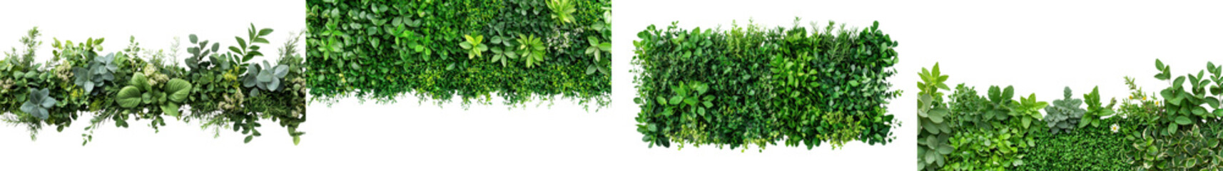 Obraz premium Lush Green Foliage Wall Texture Natural Background for Organic Designs