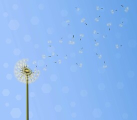 A lot of seeds escape from a dandelion flower on blue sky background. Vector illustration, breaking free, life journey concept © PsychoShadow/imageBROKER