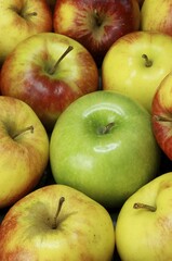 Organic apples, Jonagold