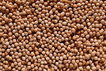 close up raw chickpea background