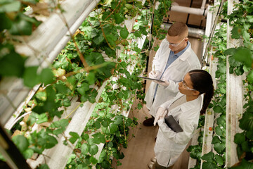 Scientists in lab coats are inspecting hydroponic plants in a vertical garden. They are involved in...