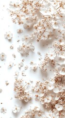 Elegant White Flowers Background Floral Design