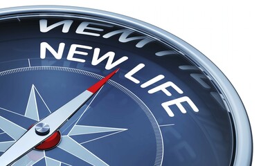3d rendering of a compass with a new life icon