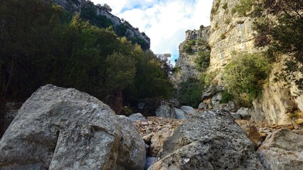 Tinen&ccedil;a de Benifass&agrave;