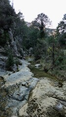 Tinença de Benifassà