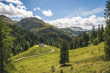 Fototapeta premium Alpine pasture, hut, Königsberg-Alm, hiking trail to the Jenner, Berchtesgaden National Park, Berchtesgadener Land, Upper Bavaria, Bavaria, Germany, Europe