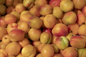 Spanish apricots, Spain, Europe