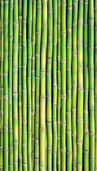 Naklejka premium Close-up of Green Bamboo Stalks Background Natural, Sustainable Texture and Eco-Friendly Concept