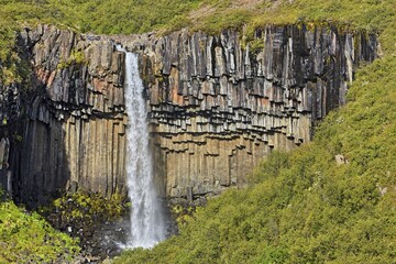 Svartifoss, Skaftafell, Austurland, Iceland, Europe